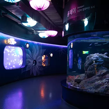 Coex Aquarium Introduce 14 Garden Of Jellyfish